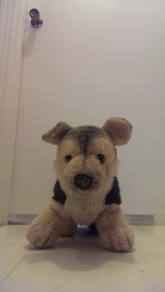 Cinnamon Jack--My Mother's Dog