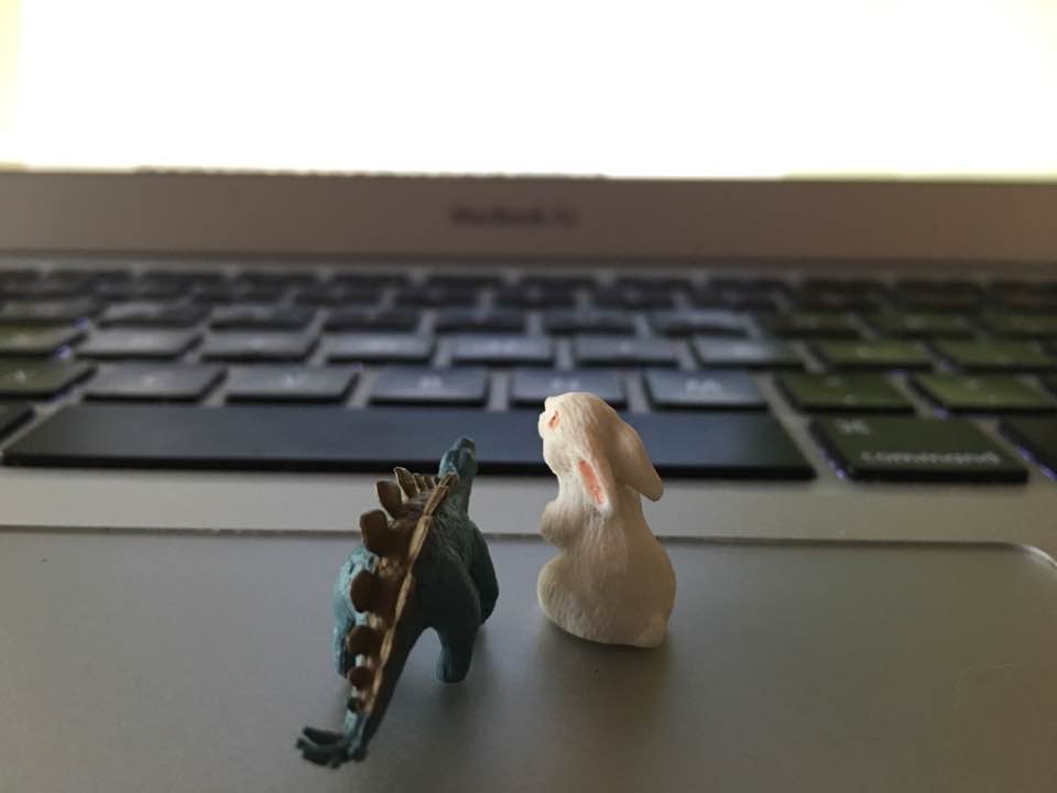 13680688_10155035618039256_3740090453077233492_n