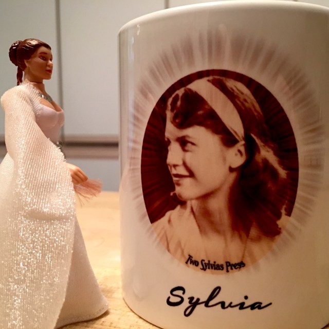 2017-11-03 08.49.28-2